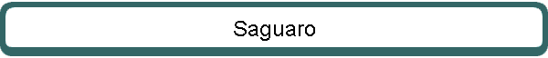 Saguaro